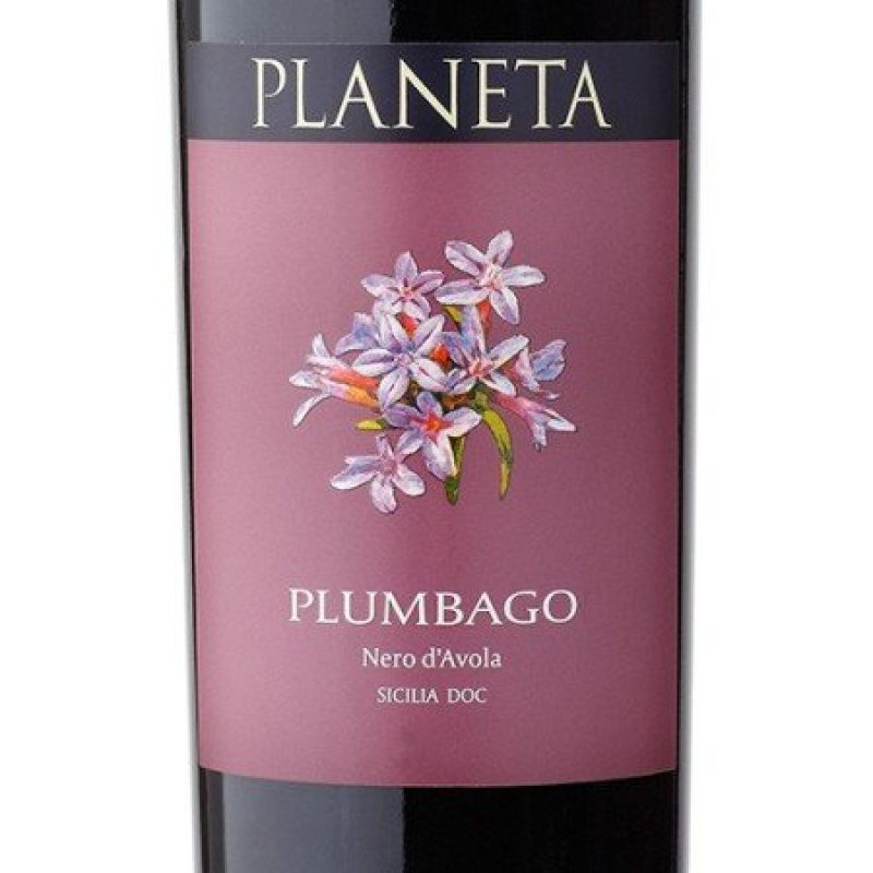 Nero D'Avola - Calice